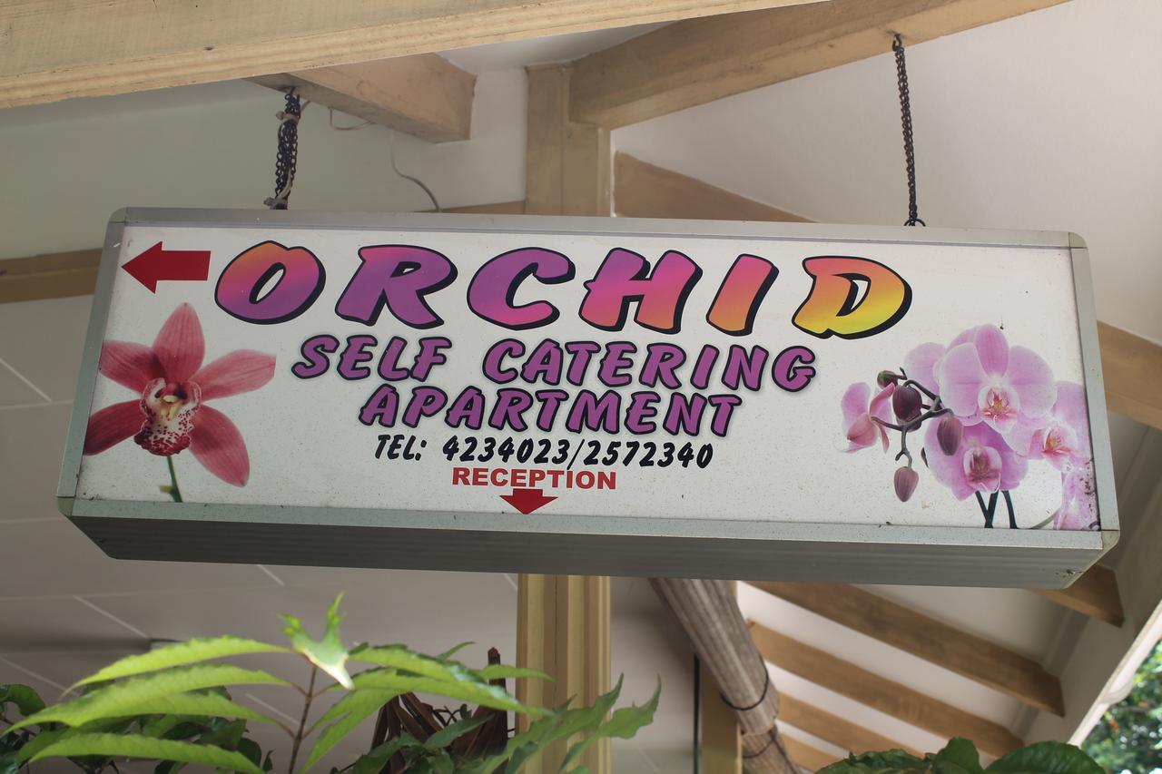 Orchid Self Catering Apartment La Digue Exterior foto